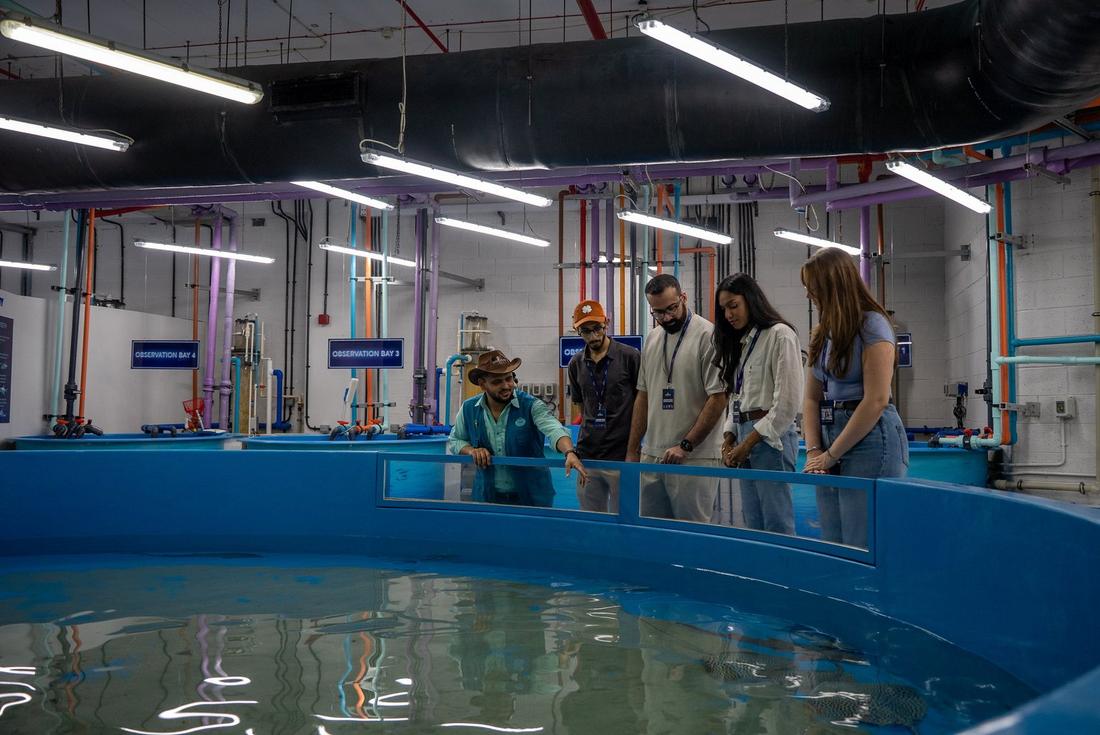 Guests on the Behind-the-Scenes Tour at the Lost World Aquarium